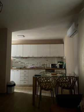Center Shkoder